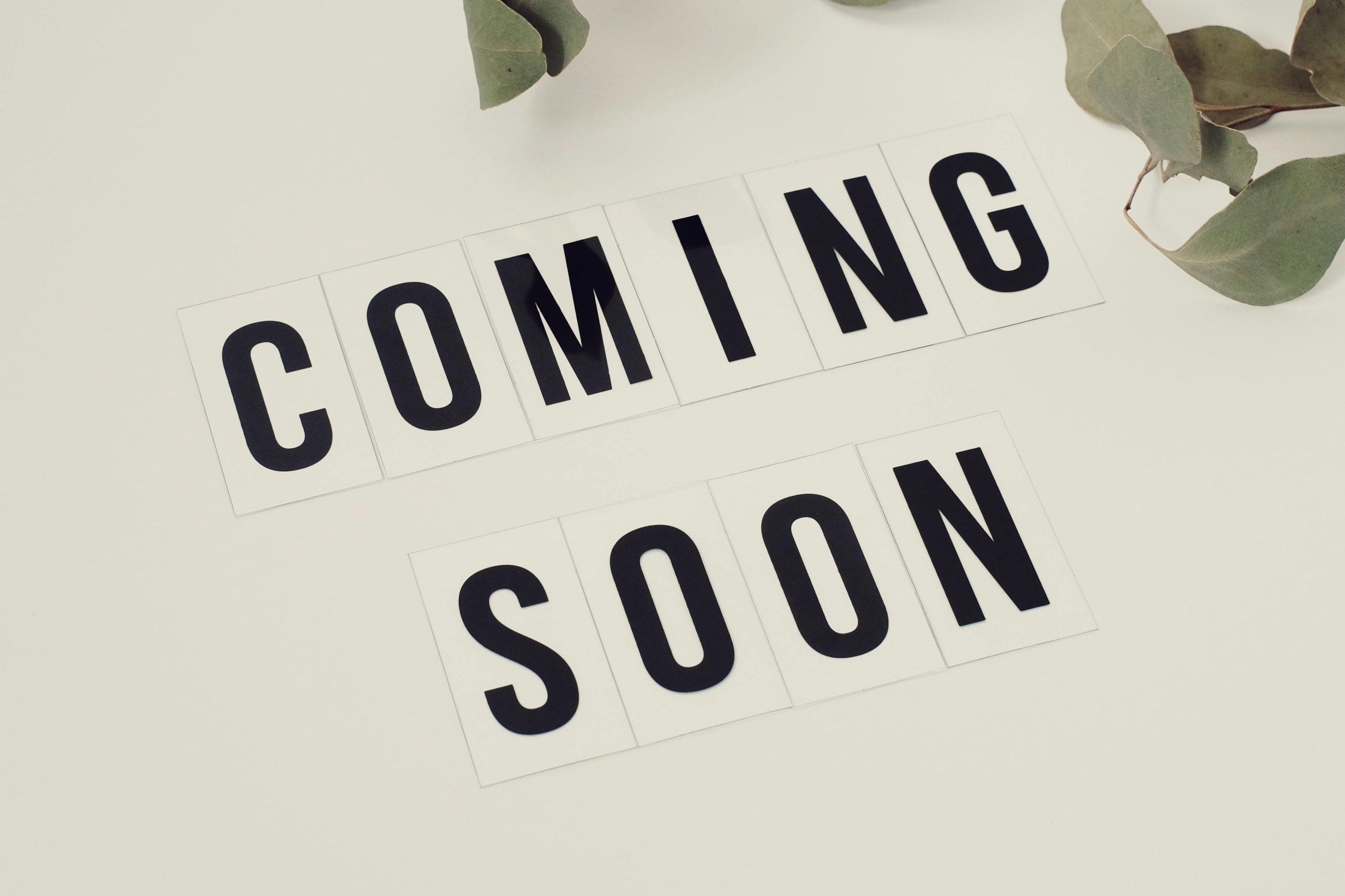 Eucalyptus branch with 'Coming Soon' message on white background for announcements.